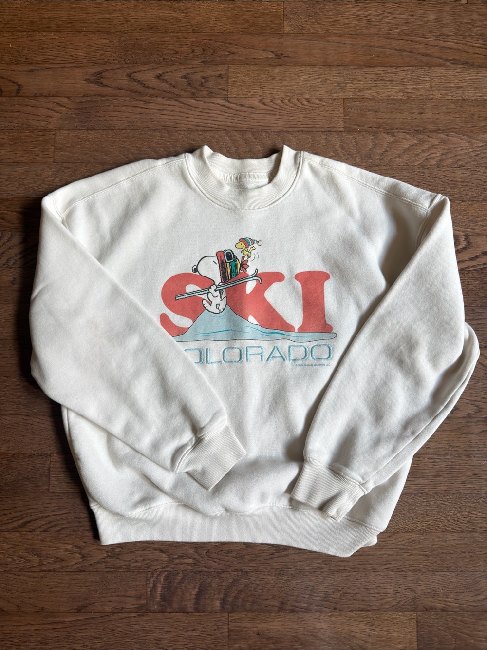 Hollister White Crewneck with Red & Light Blue Ski Graphic